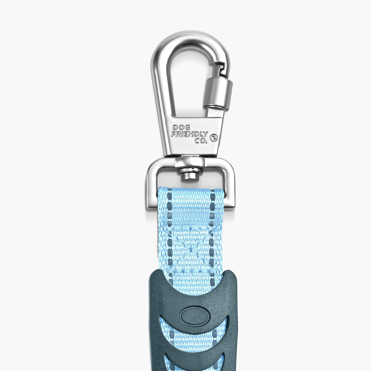 Bungee Dog Leash