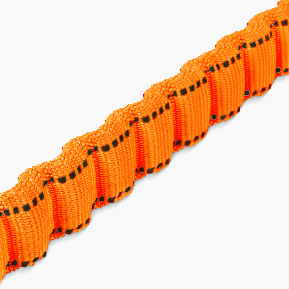 Bungee Dog Leash