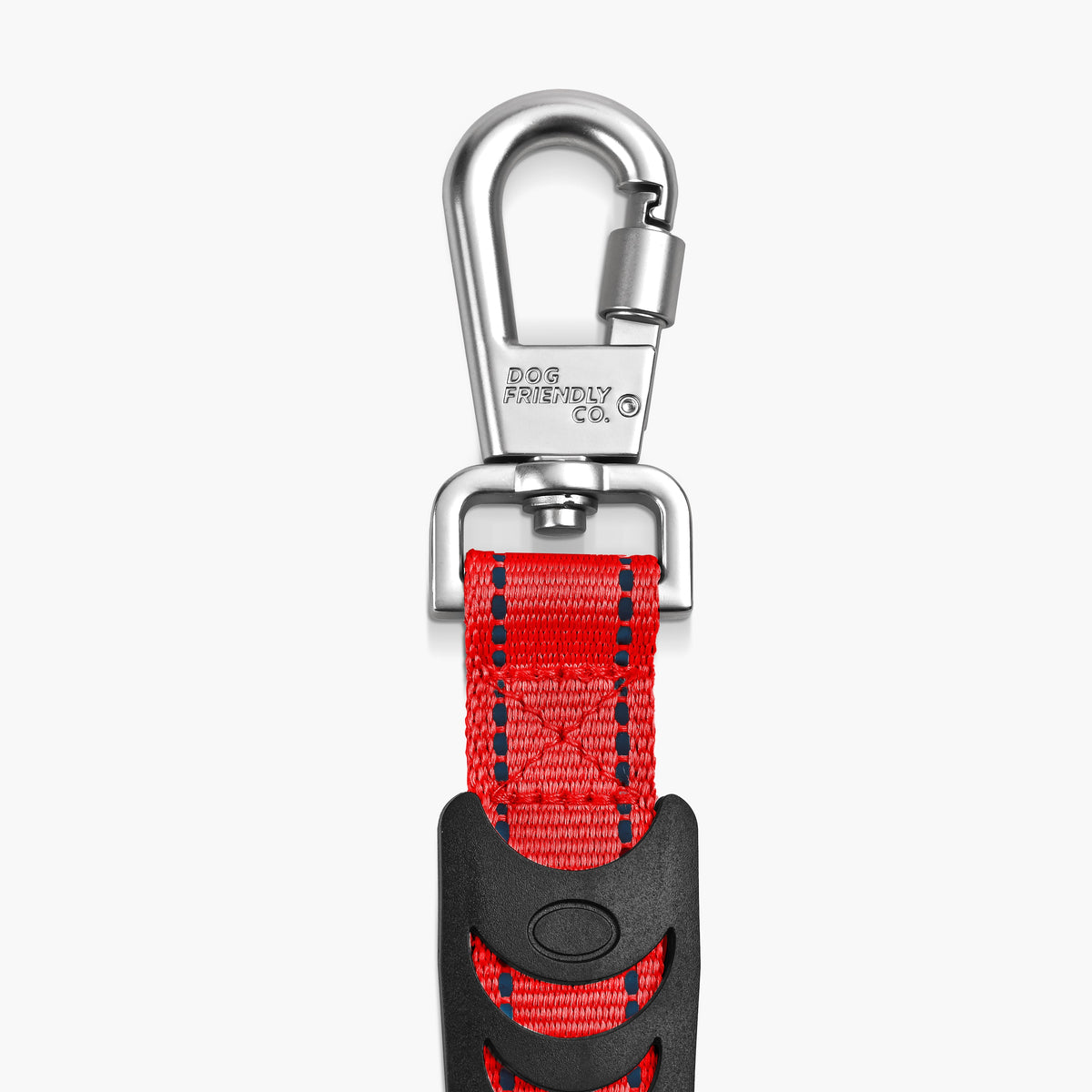 Bungee Dog Leash