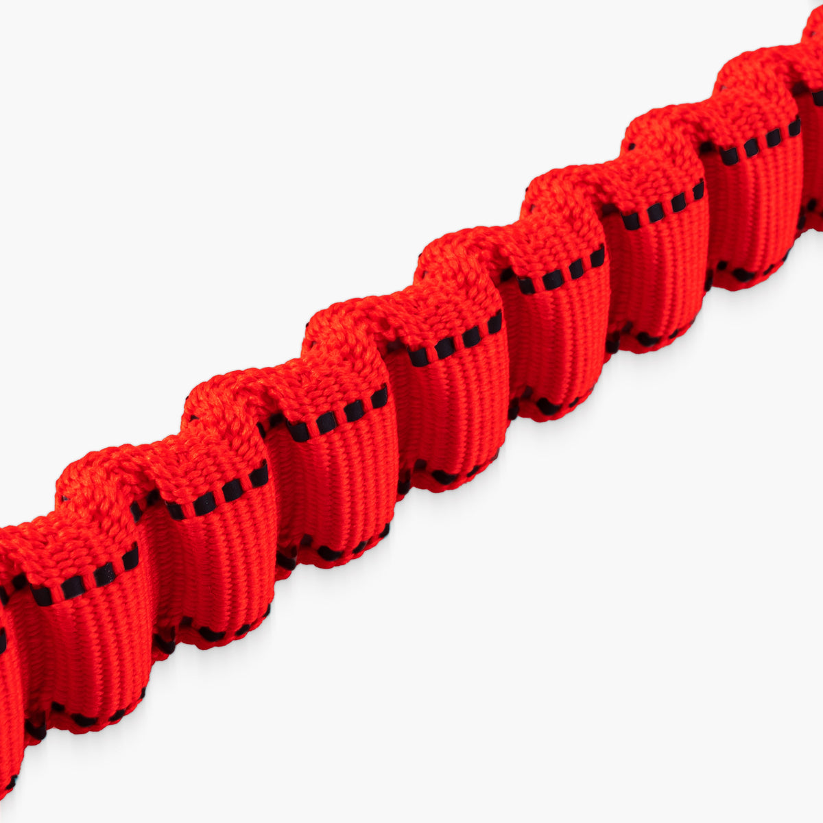 Bungee Dog Leash