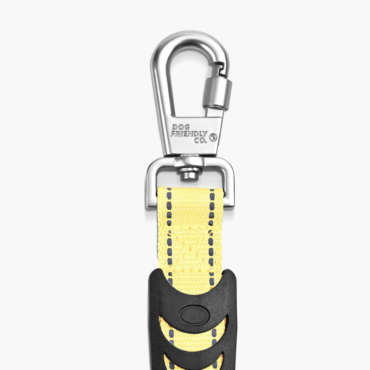 Bungee Dog Leash