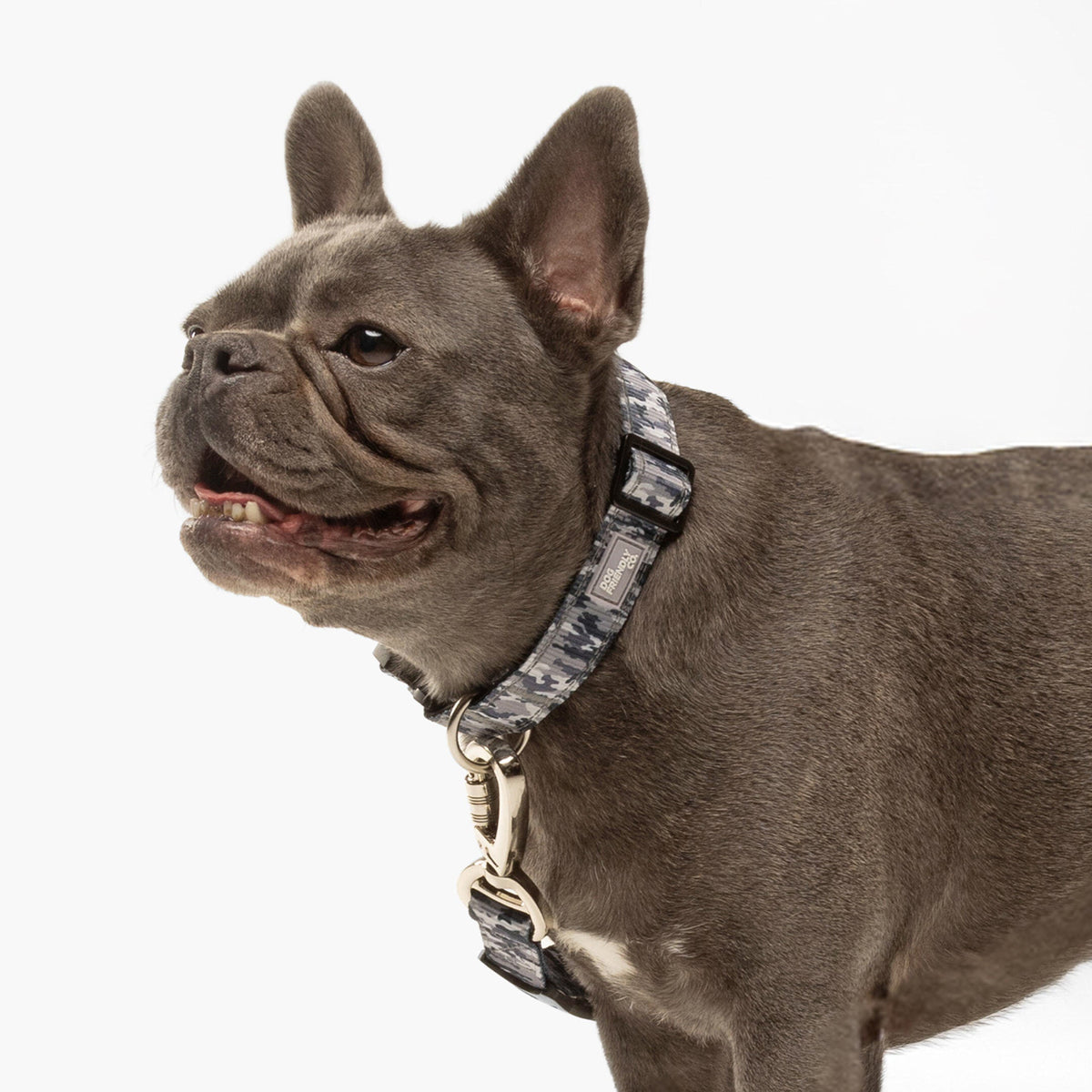 Collar Walk Set - Grey Camo
