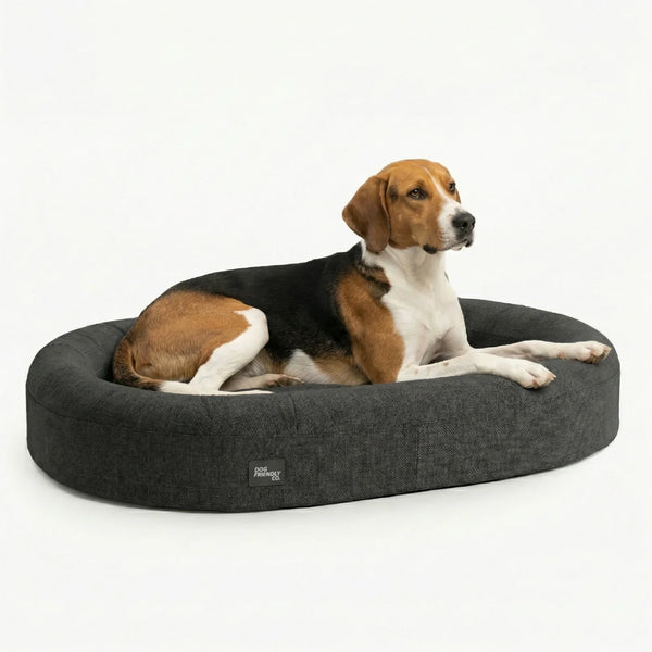 Dog Beds