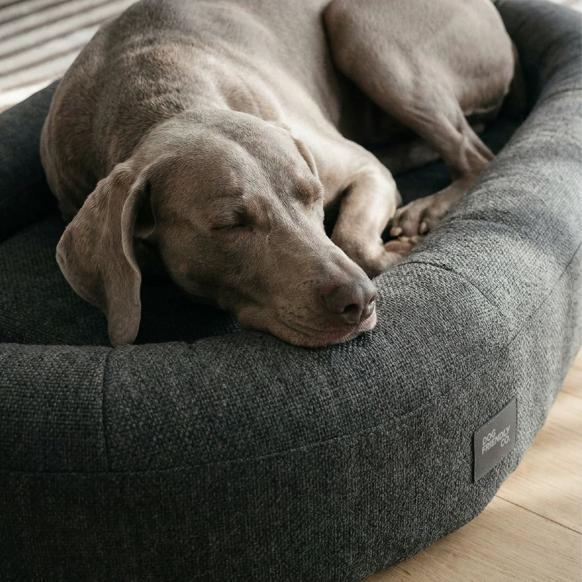 Chill Pill Memory Foam Dog Bed - Charcoal (Large)