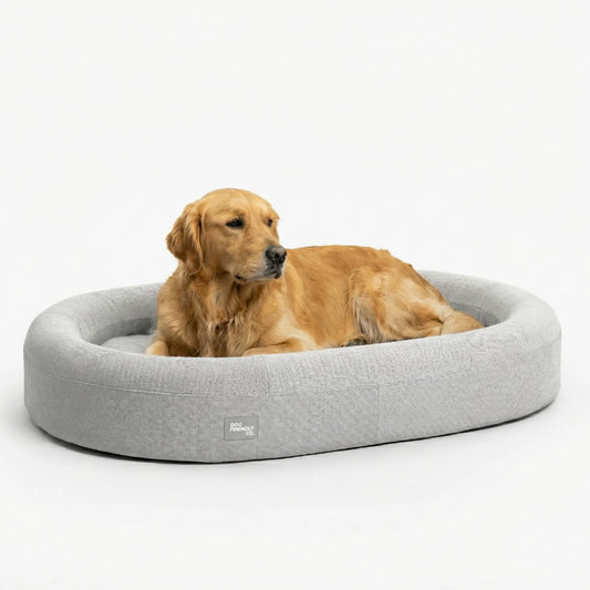 Chill Pill Memory Foam Dog Bed - Grey (Small)