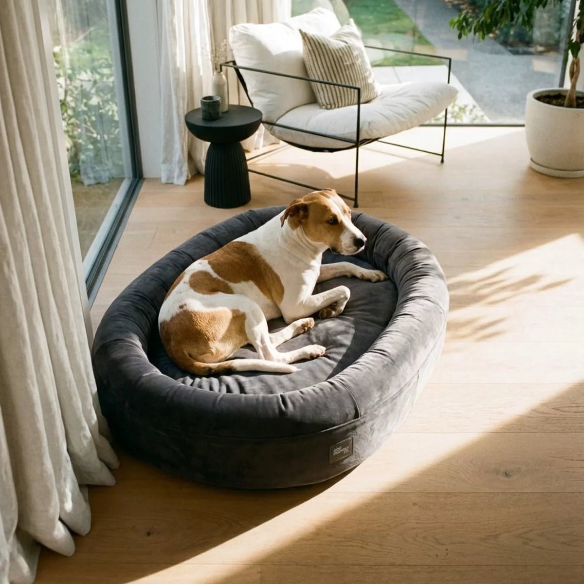 Chill Pill Velvet Easy Fit Cover - Charcoal