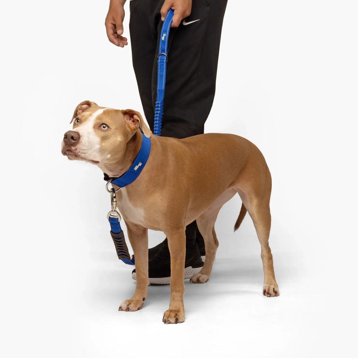 Collar Walk Set - Classic Blue