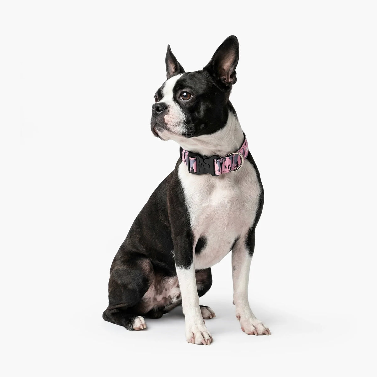 Collar Walk Set - Pink Camo
