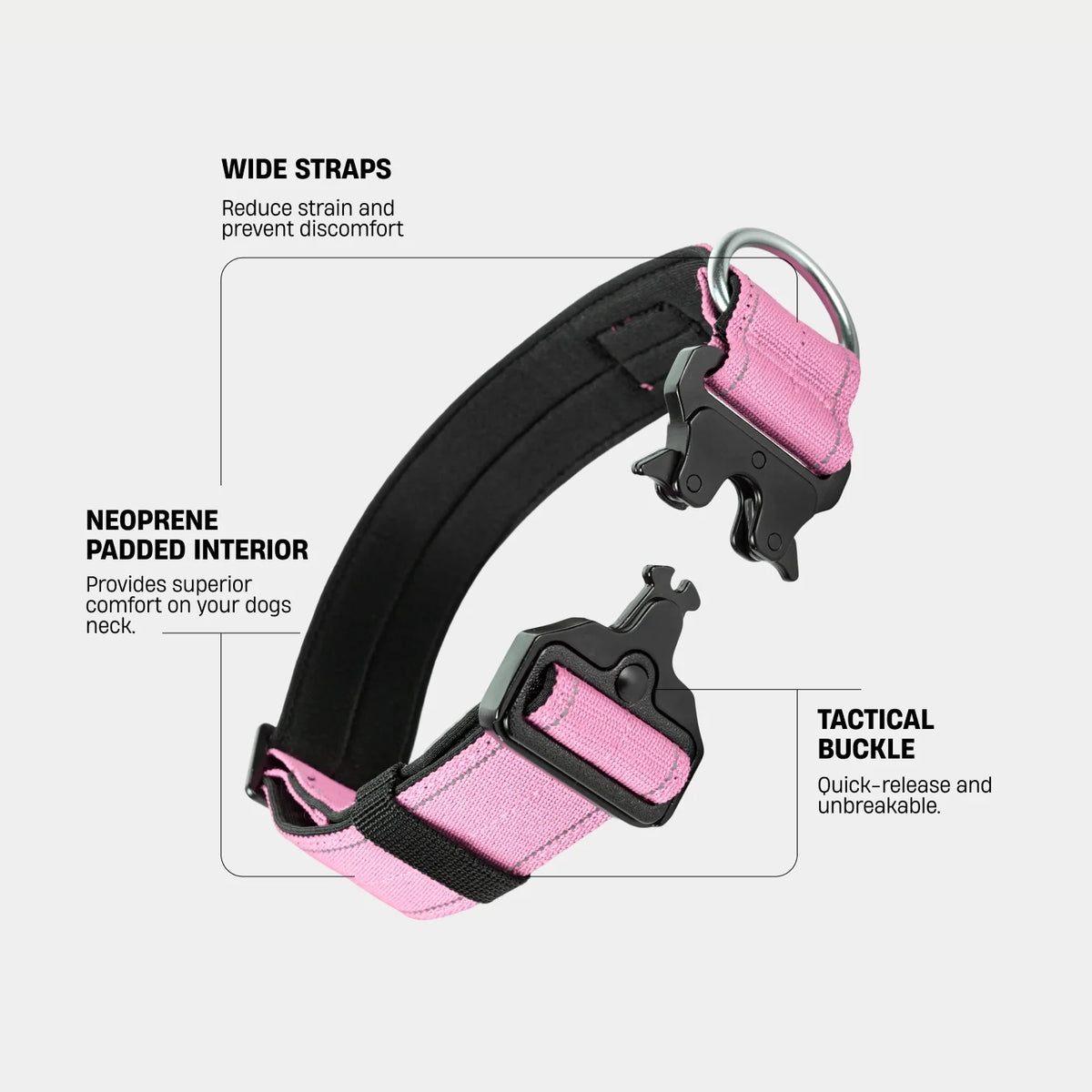 Collar Walk Set - Pink