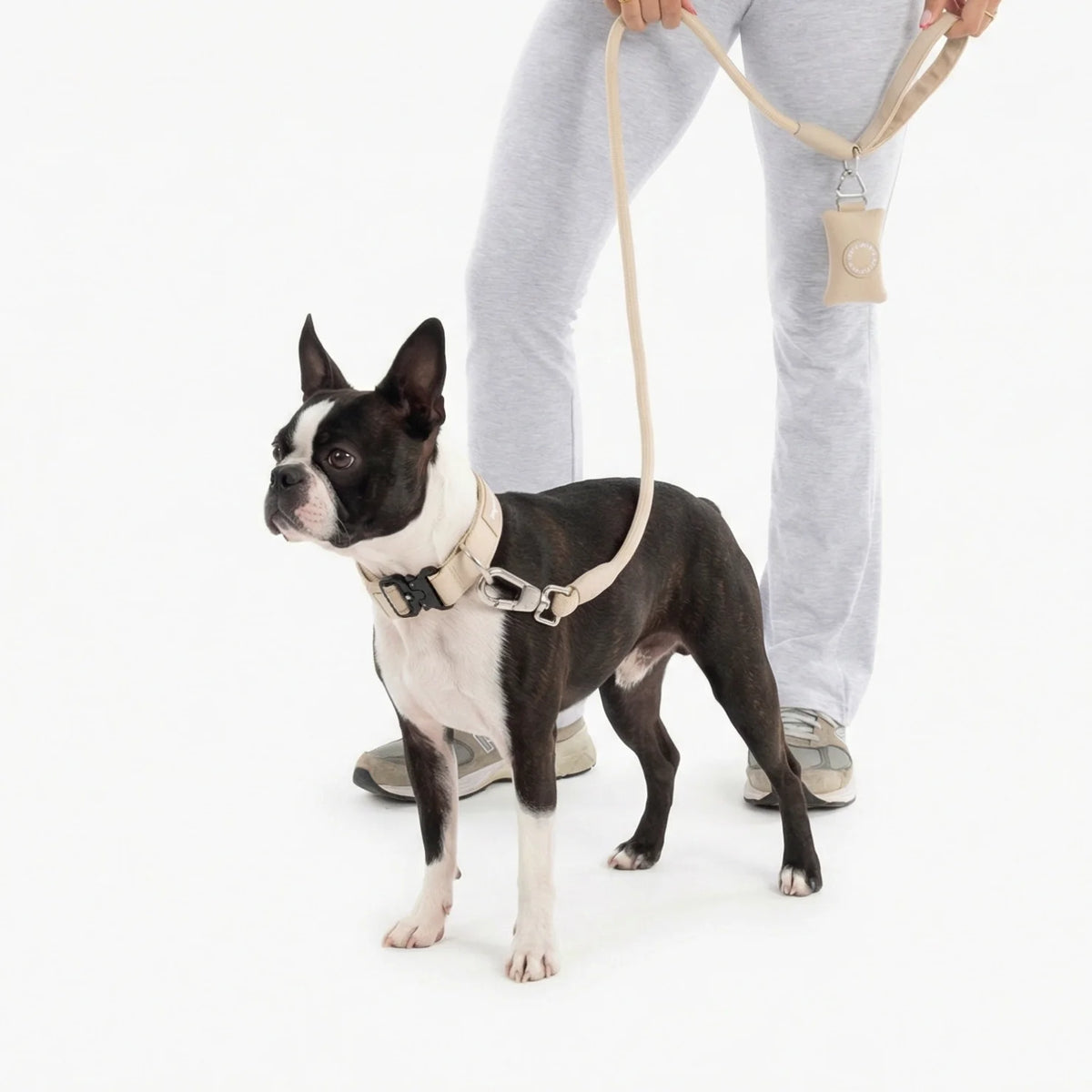 Collar Walk Set - Brown