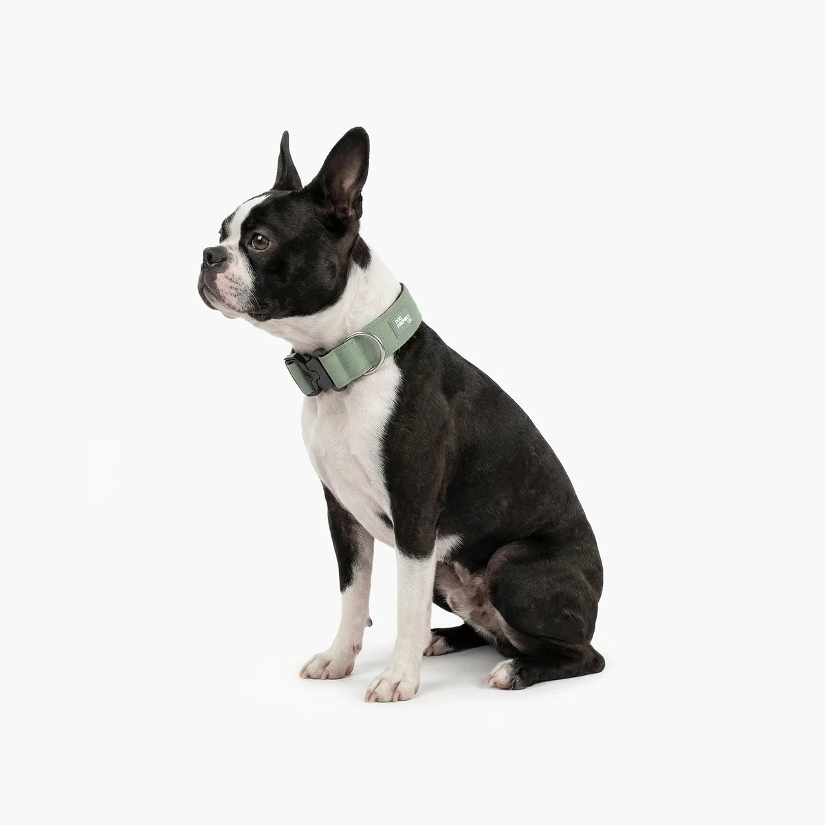 Collar Walk Set - Khaki
