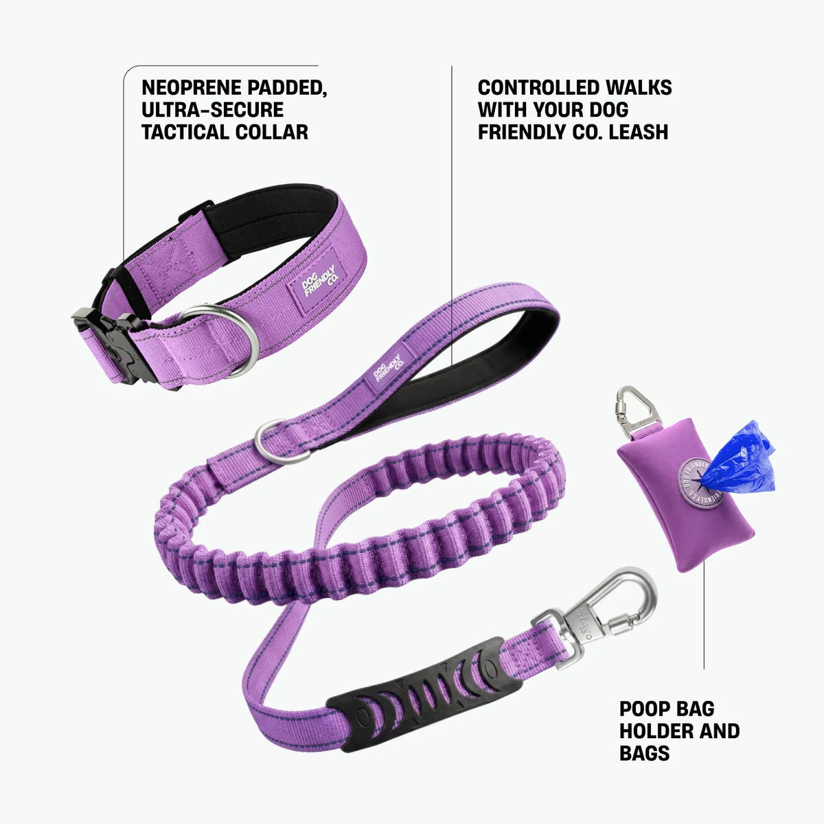 Collar Walk Set - Purple