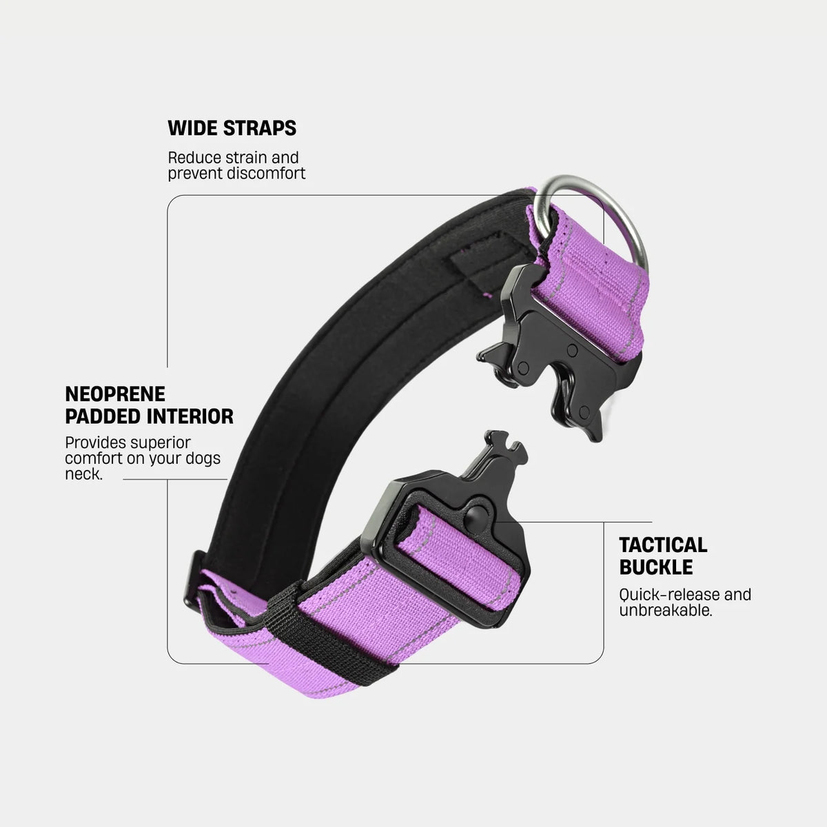 Collar Walk Set - Purple