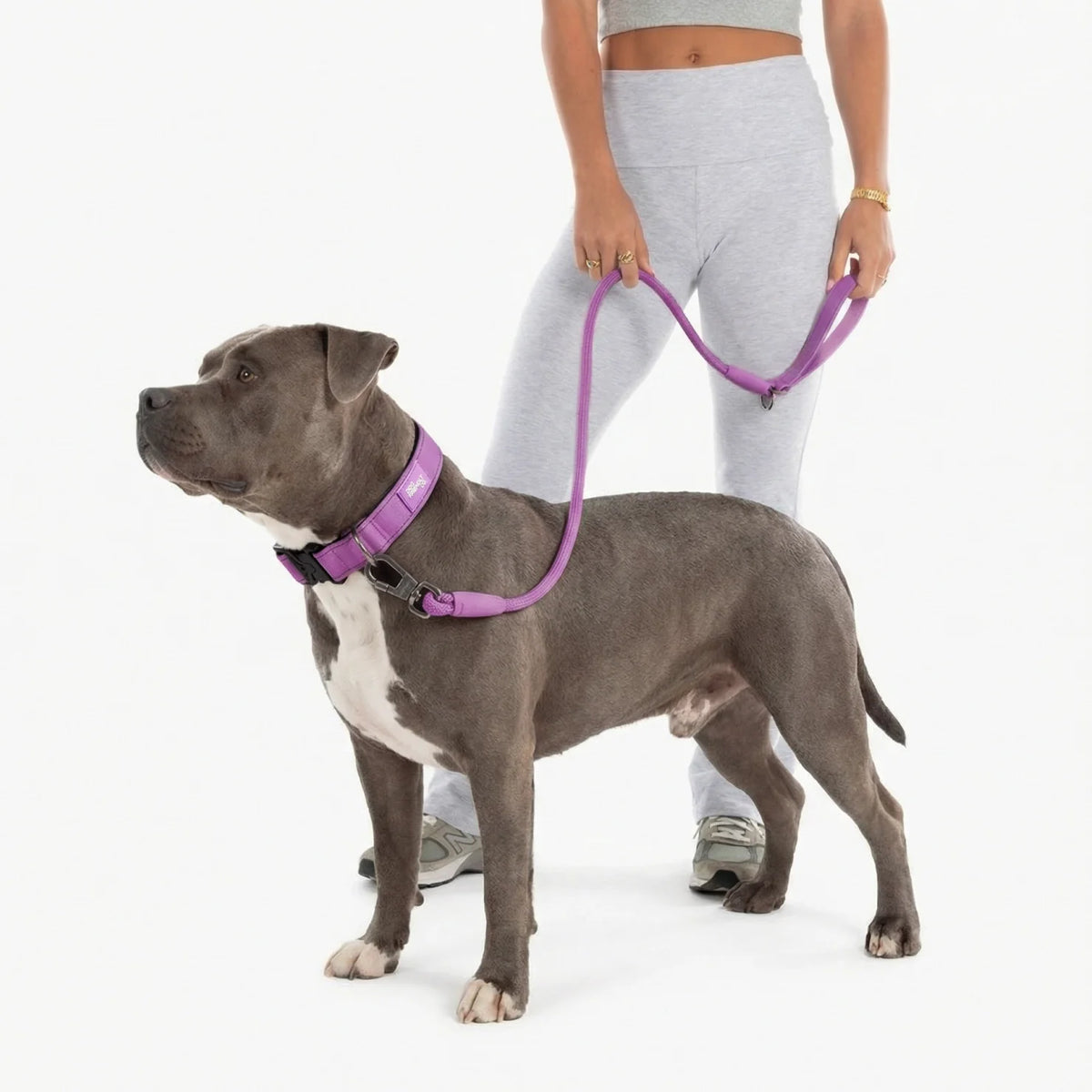 Collar Walk Set - Purple