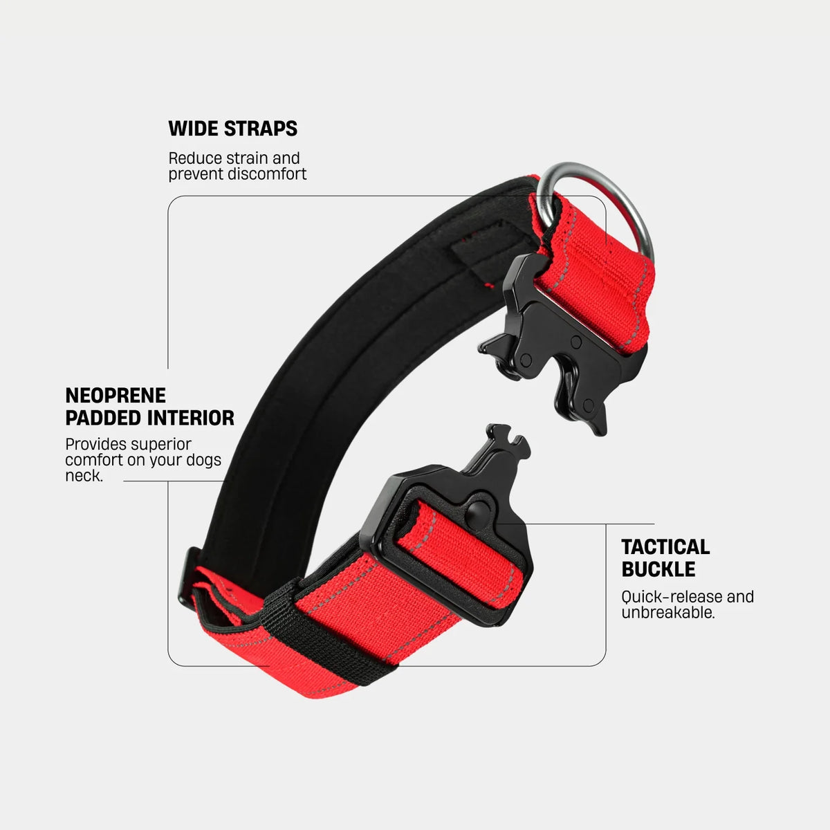 Collar Walk Set - Red