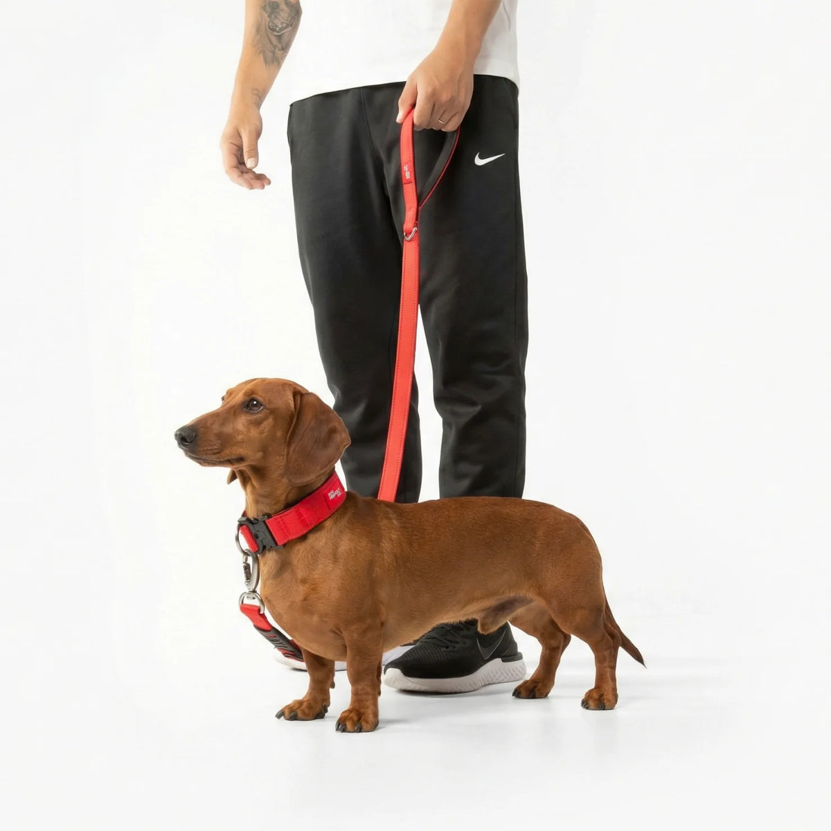 Collar Walk Set - Red