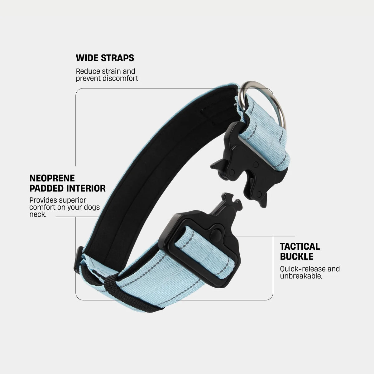 Collar Walk Set - Sky Blue