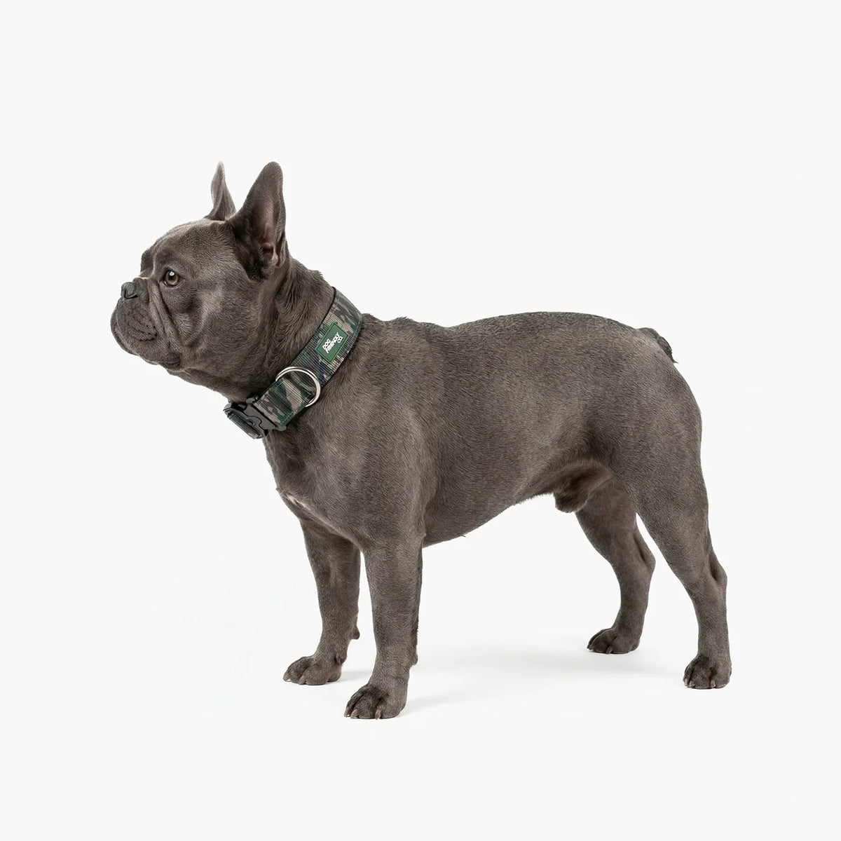 Tactical Dog Collar - Green Camo