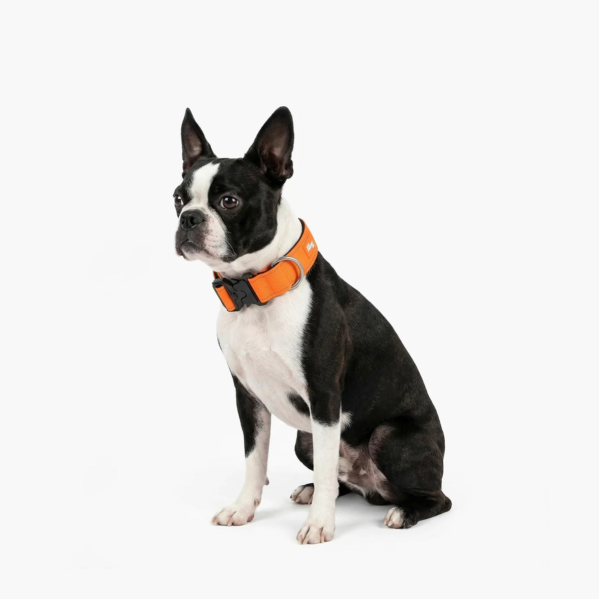 Tactical Dog Collar - Hi-vis Orange
