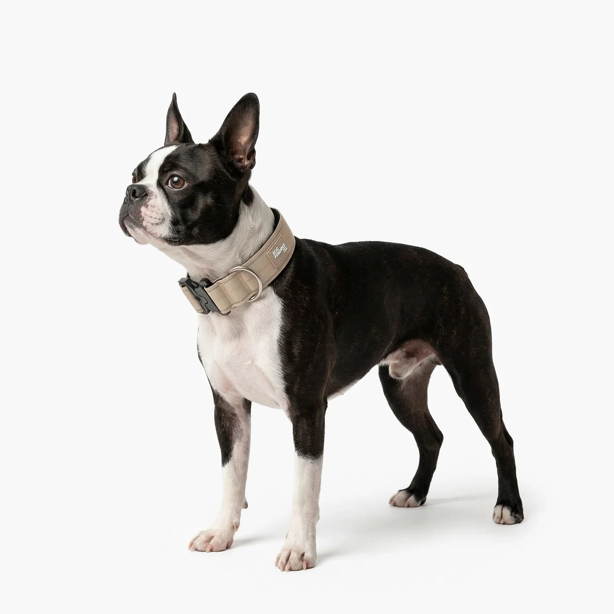 Tactical Dog Collar - Brown