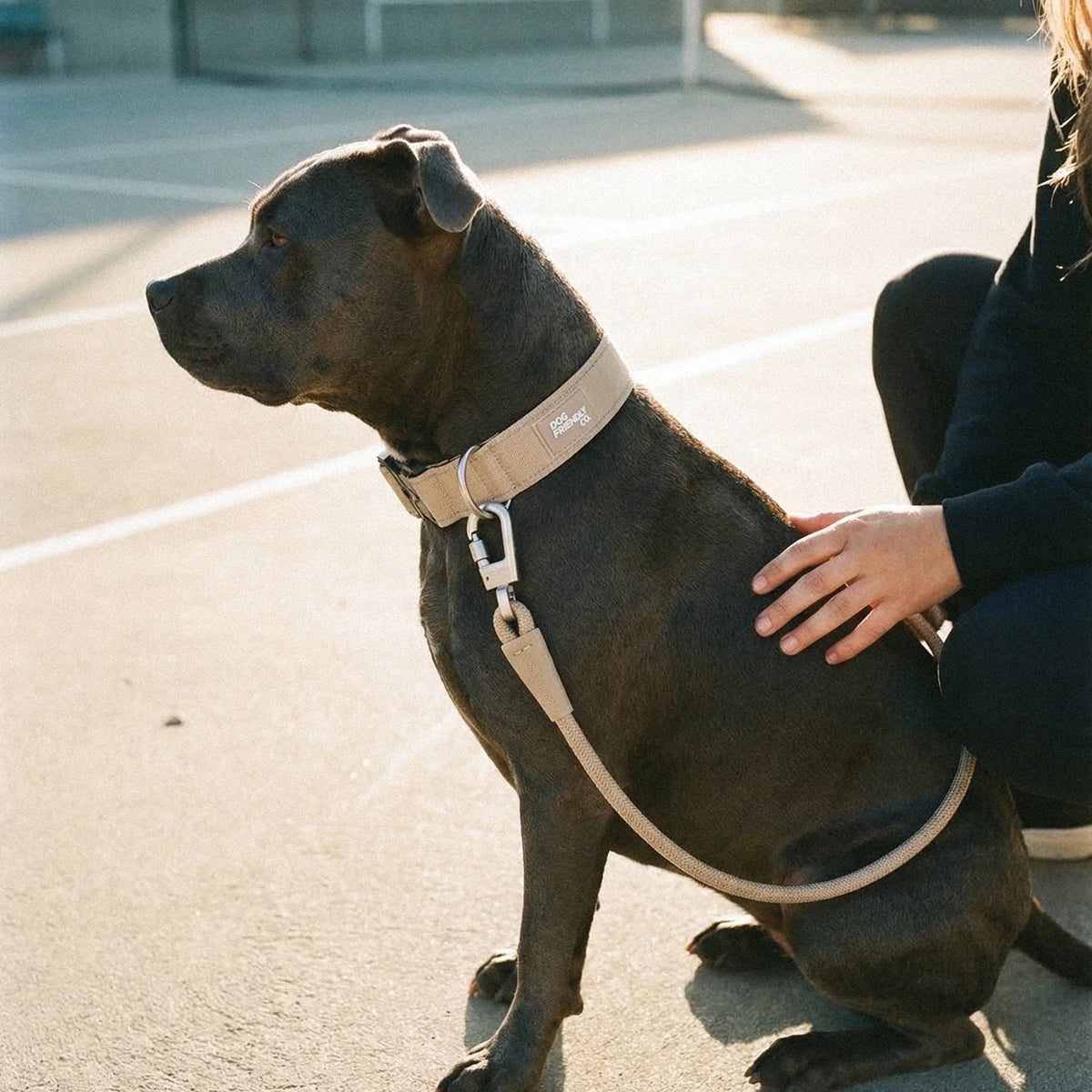 Tactical Dog Collar - Brown