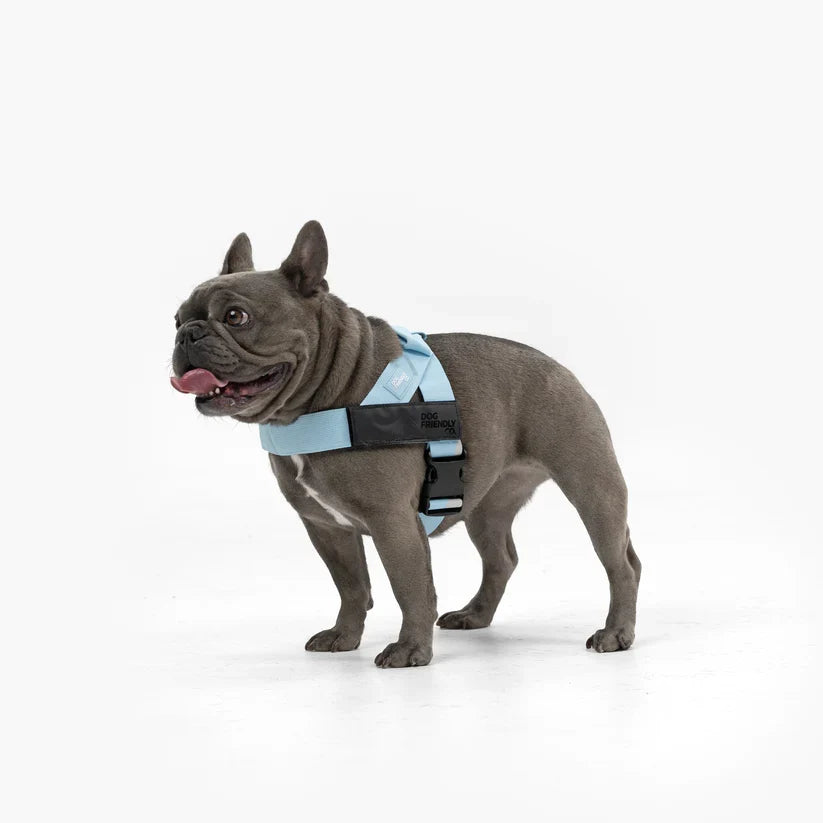 Dog Harness + FREE D-ring