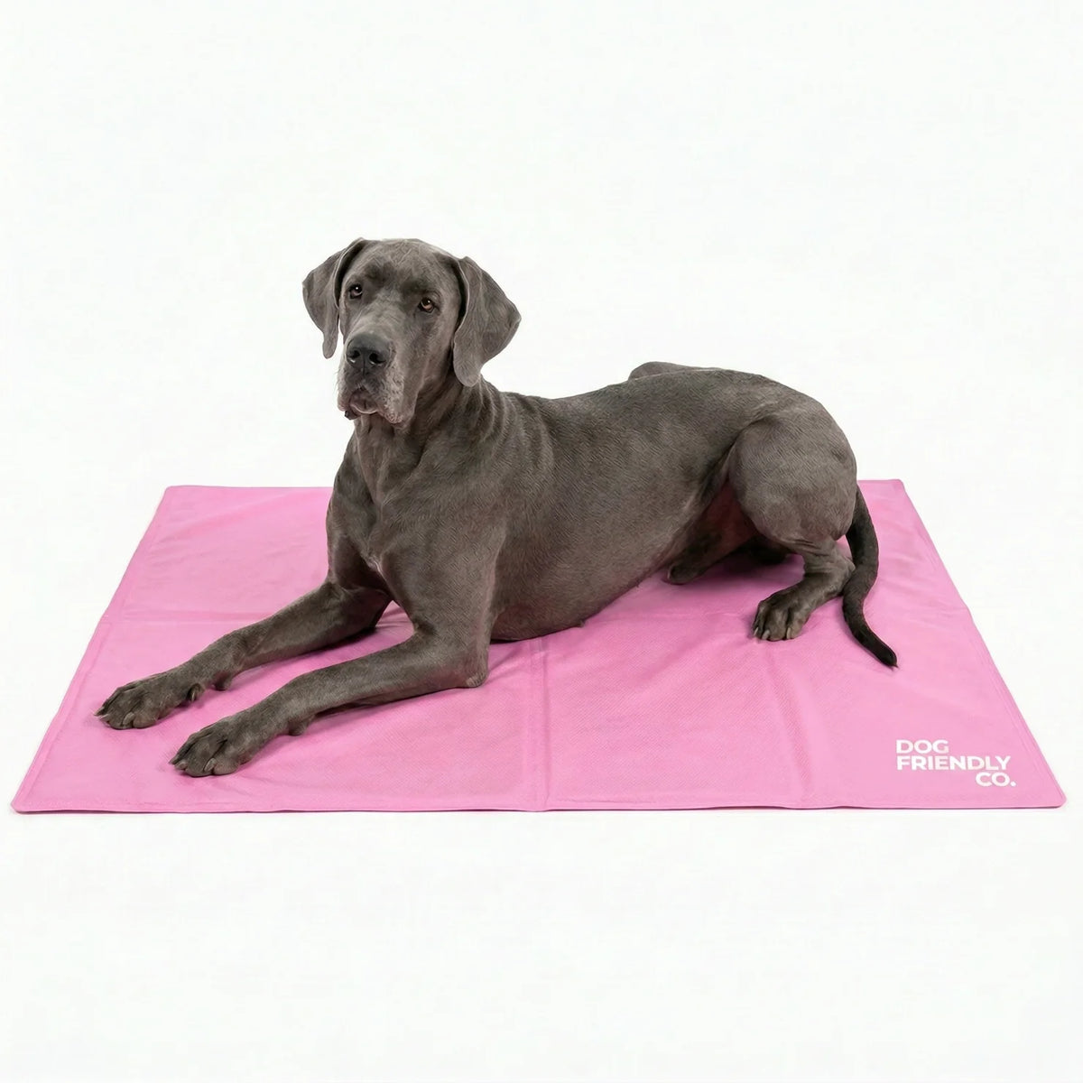 Dog Cooling Mat