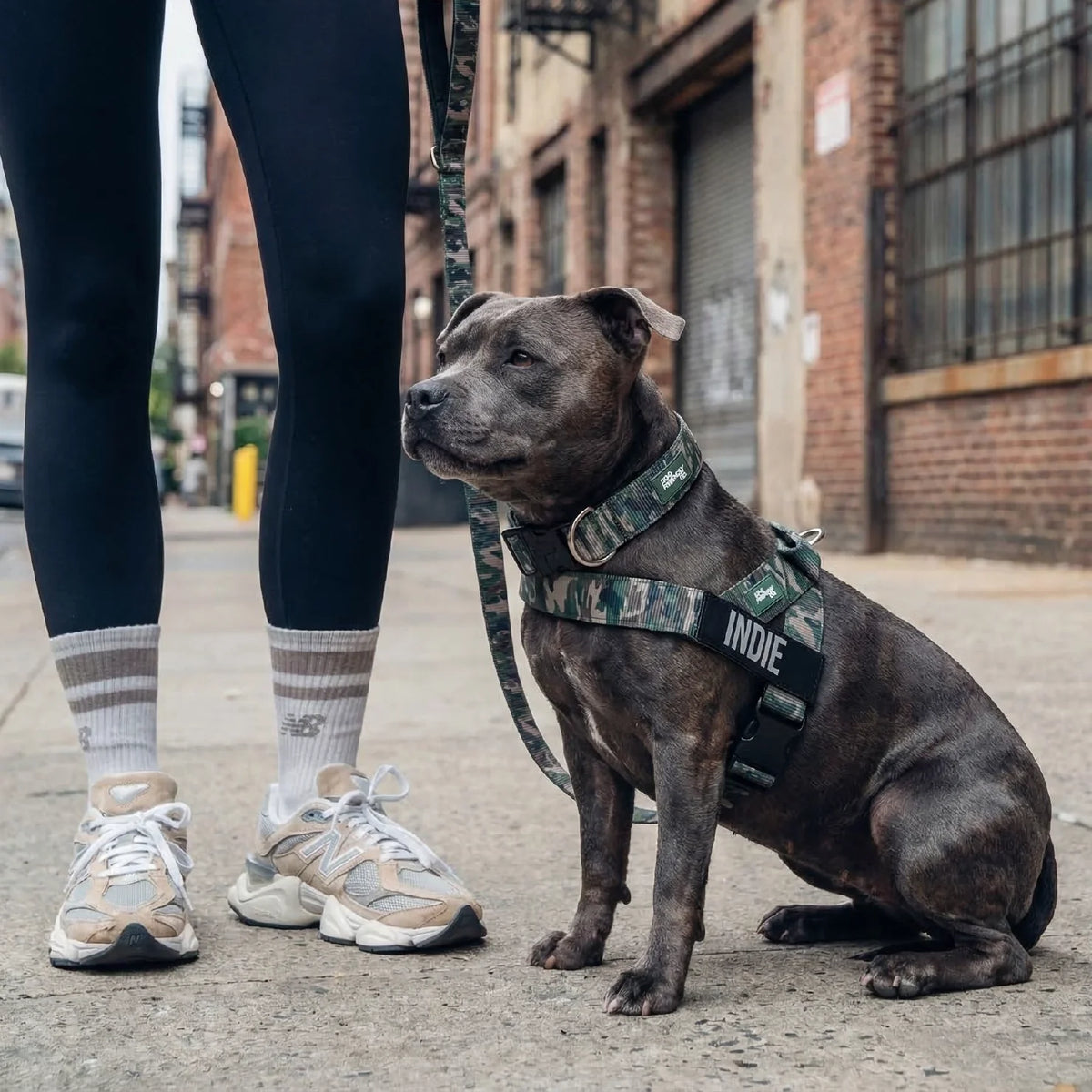 Dog Lovers Pack - Green Camo