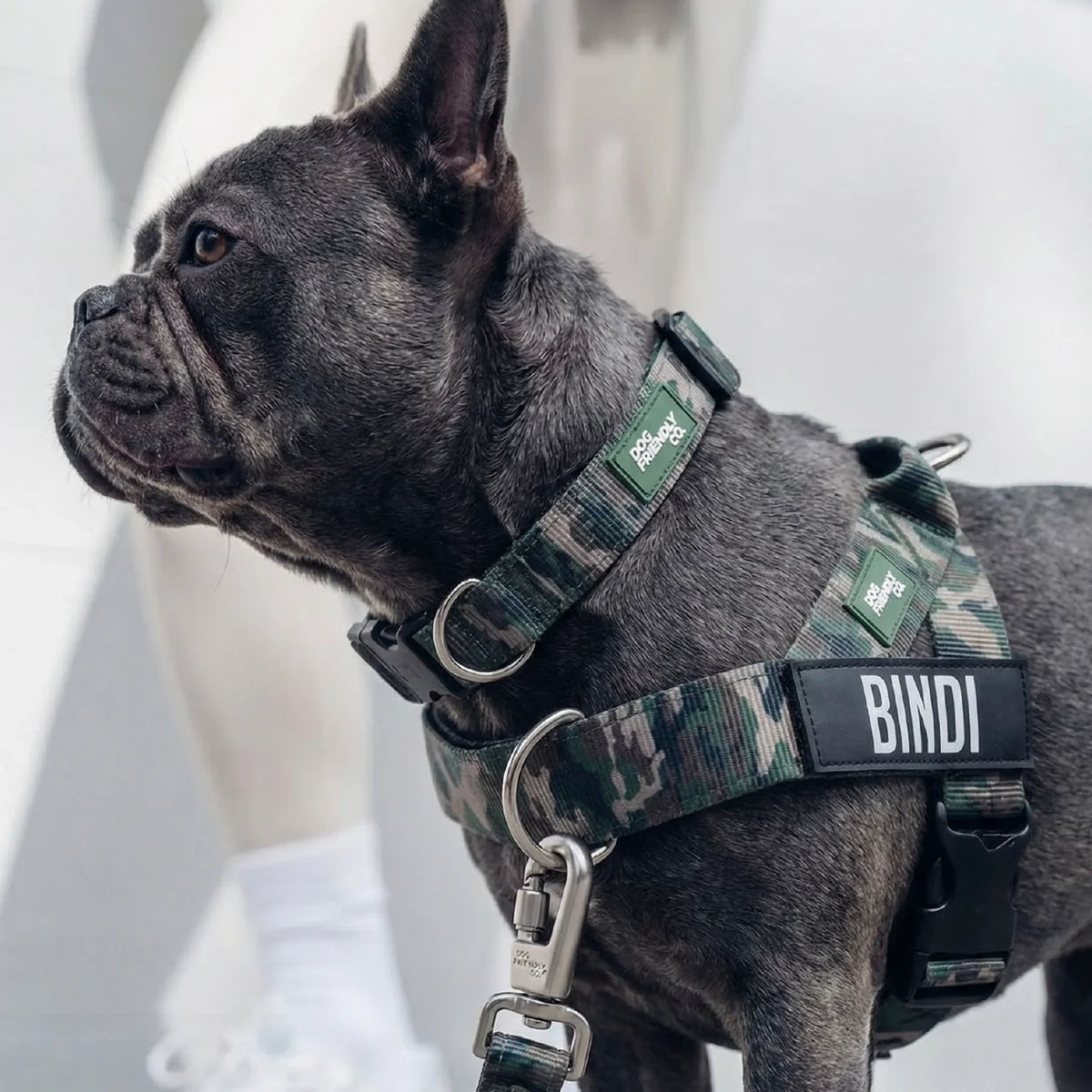 Dog Lovers Pack - Green Camo