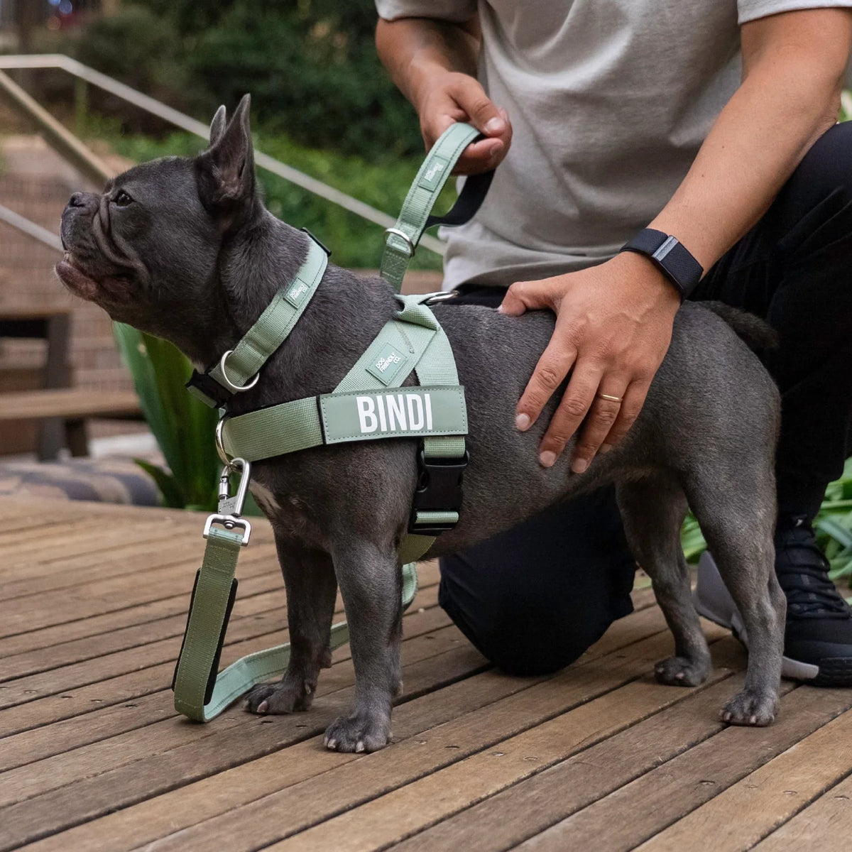 Dog Lovers Pack - Khaki