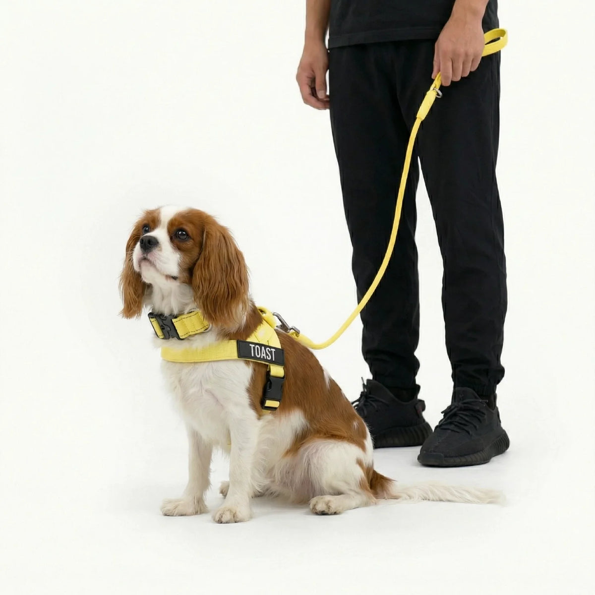 Dog Lovers Pack - Yellow