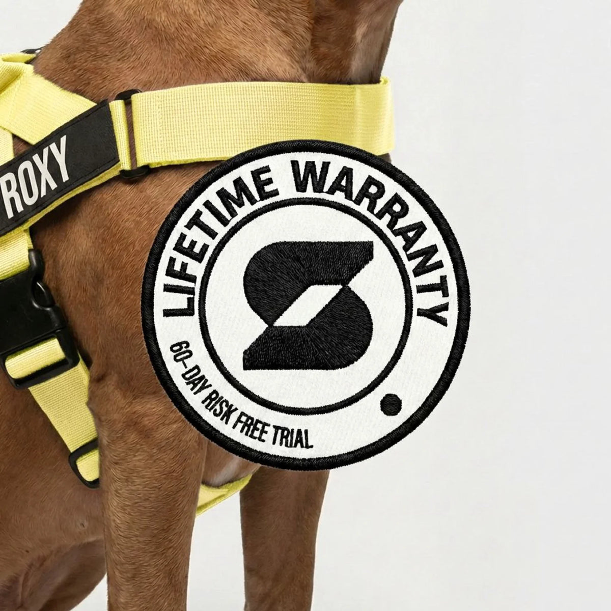Dog Lovers Pack - Yellow