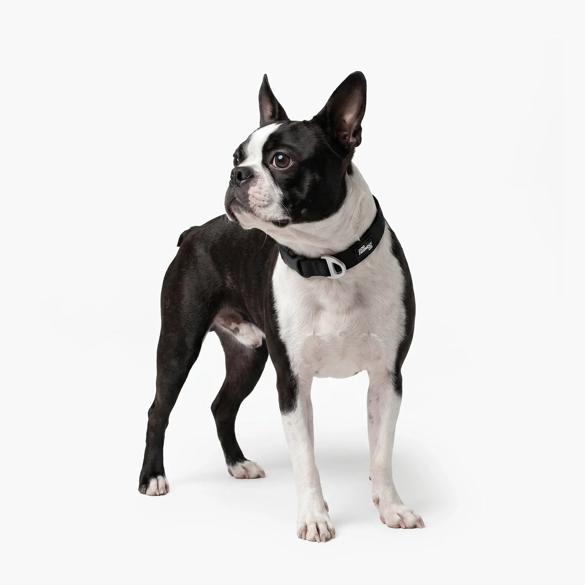 Essentials Collar - Black