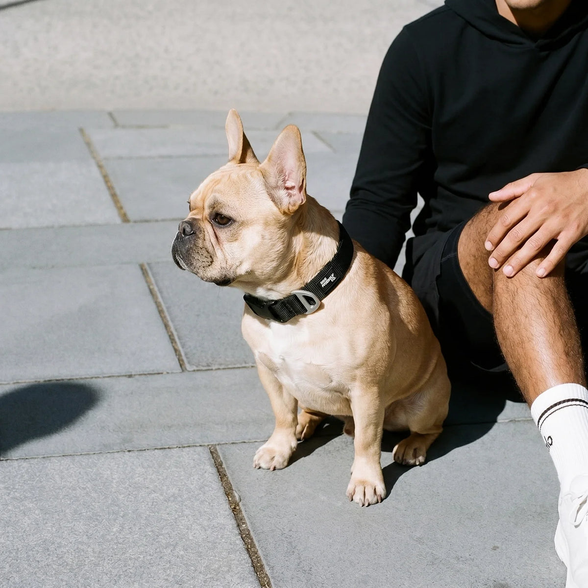 Essentials Collar - Black