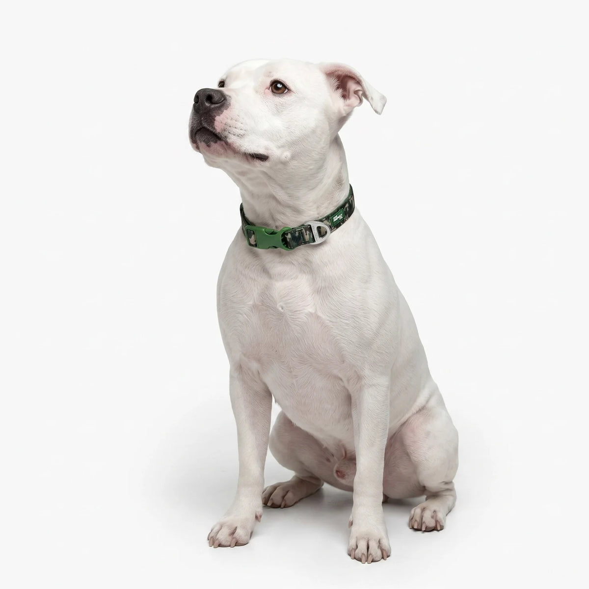 Essentials Collar - Green Camo