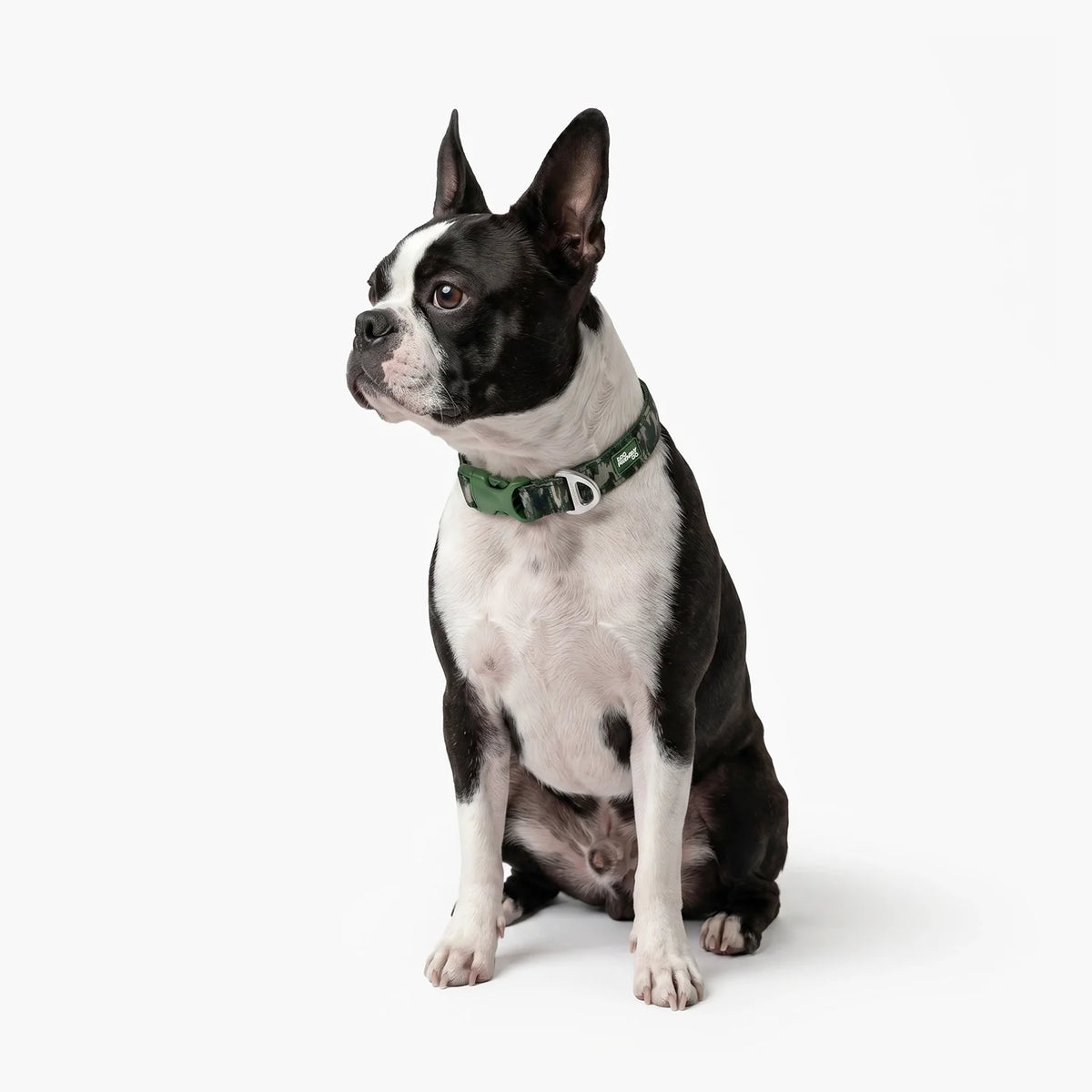 Essentials Collar - Green Camo