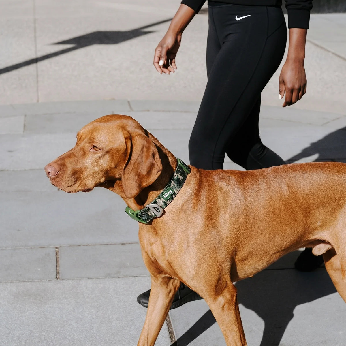 Essentials Collar - Green Camo