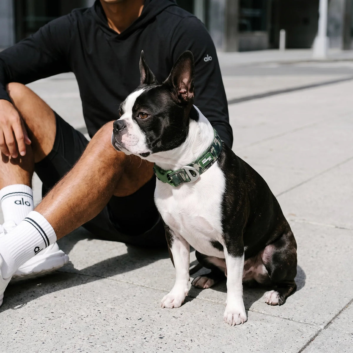 Essentials Collar - Green Camo