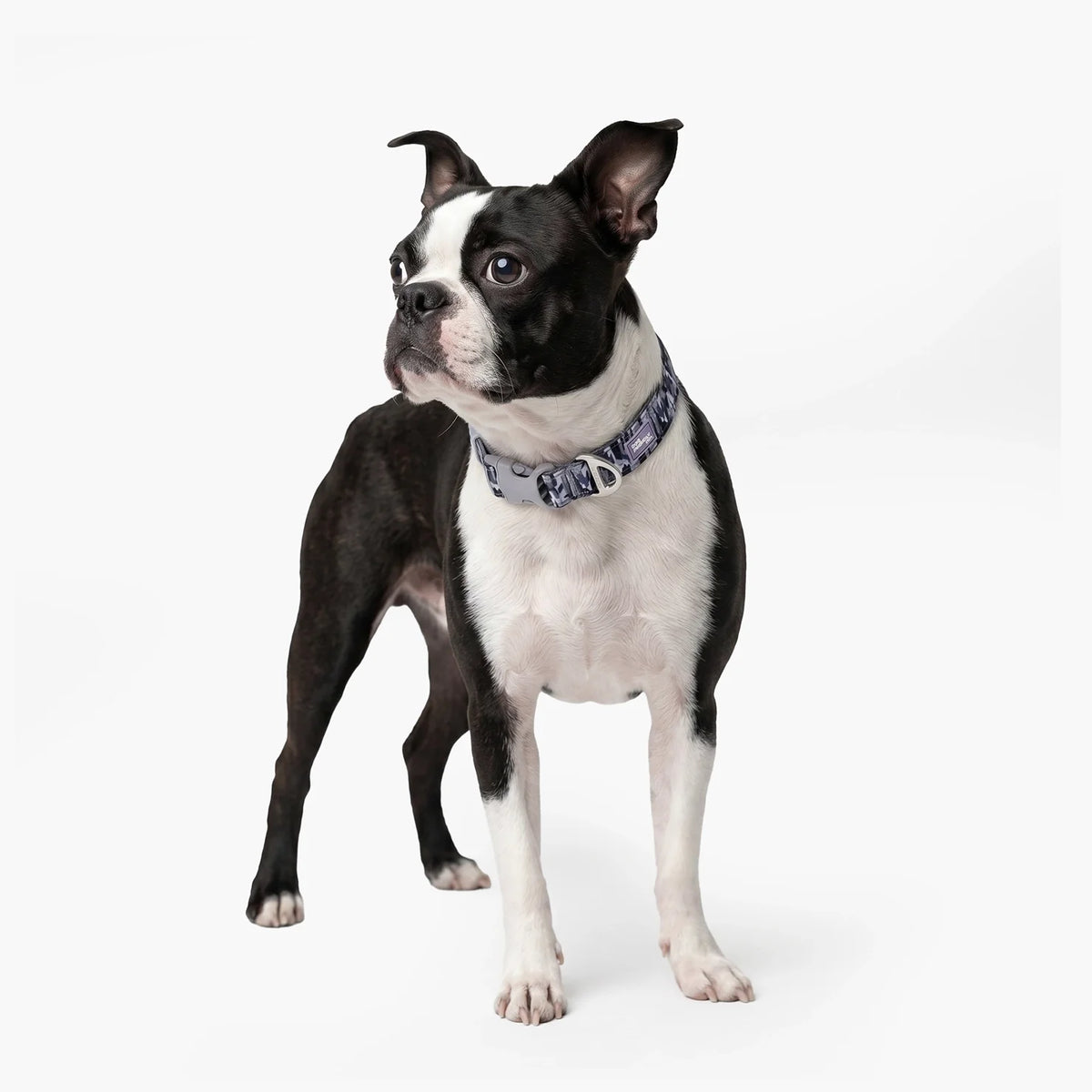 Essentials Collar - Grey Camo