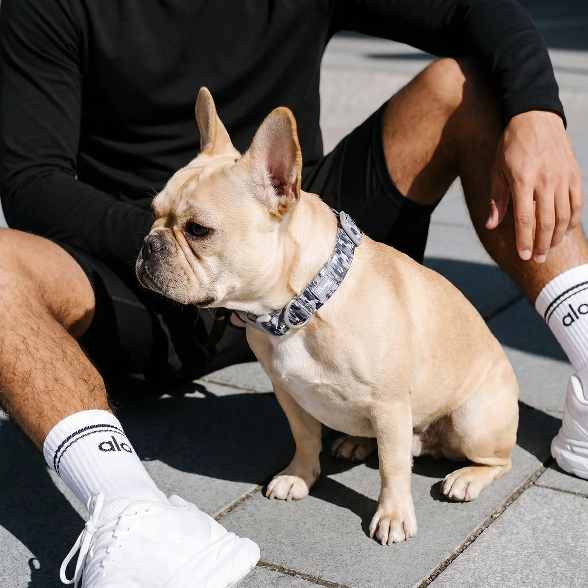 Essentials Collar - Grey Camo