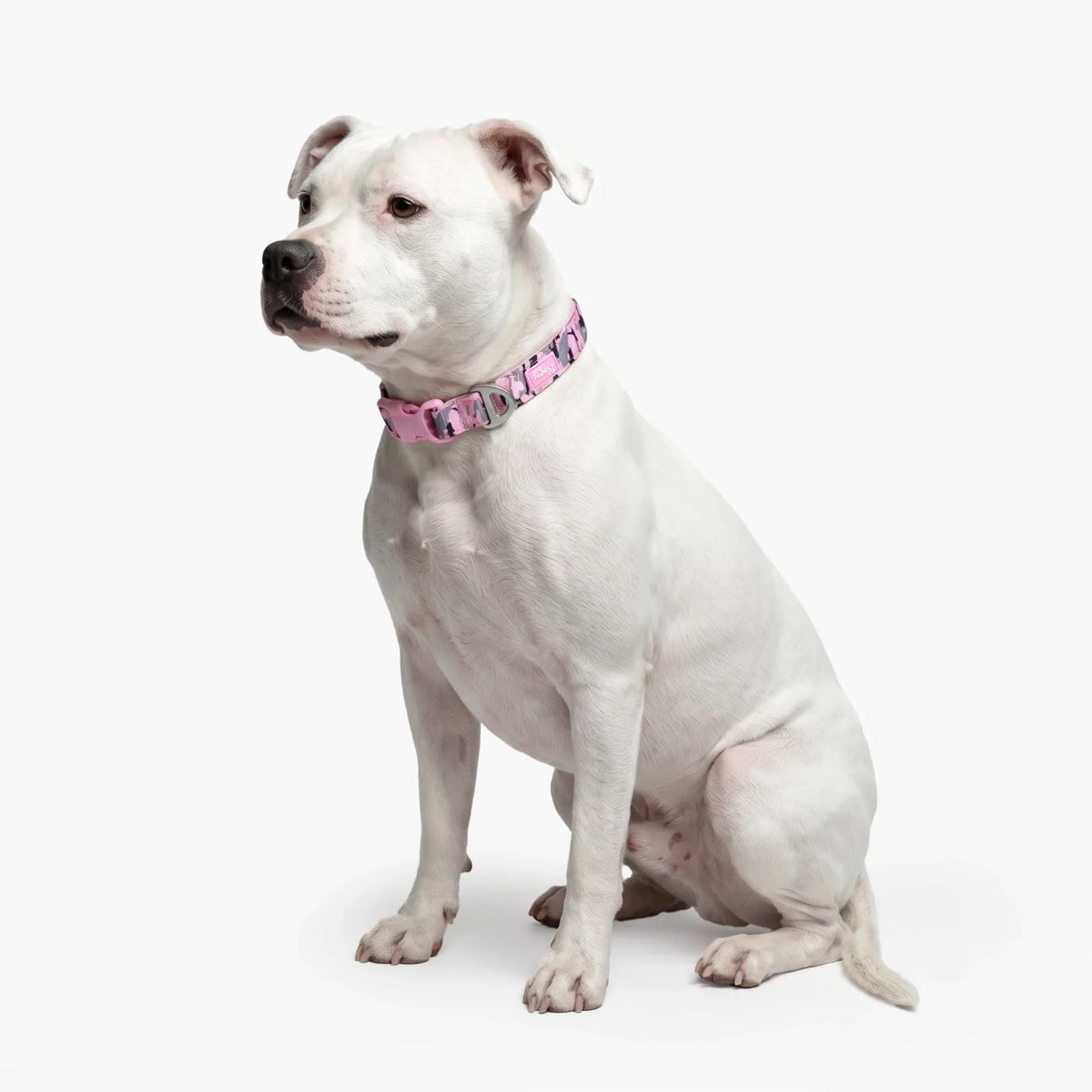 Essentials Collar - Pink Camo