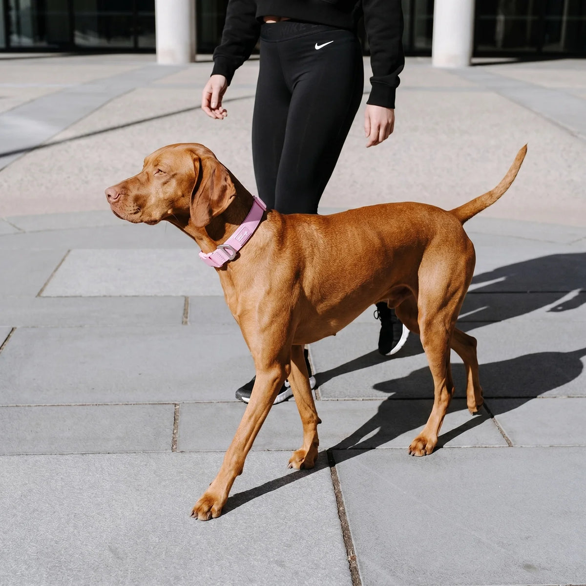 Essentials Collar - Pink