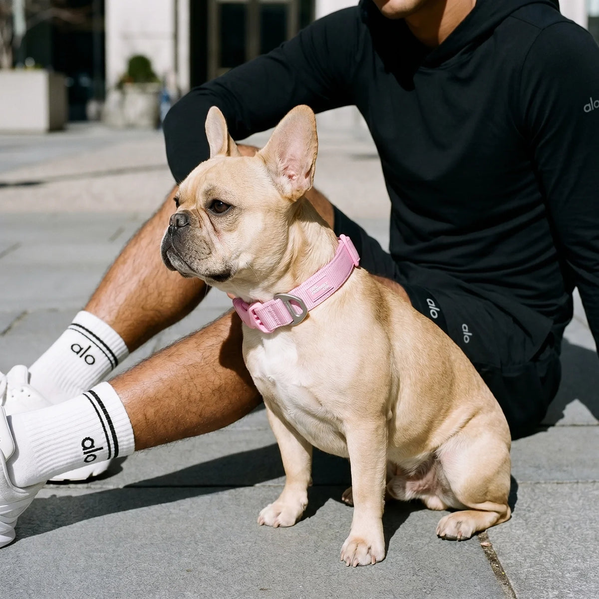 Essentials Collar - Pink
