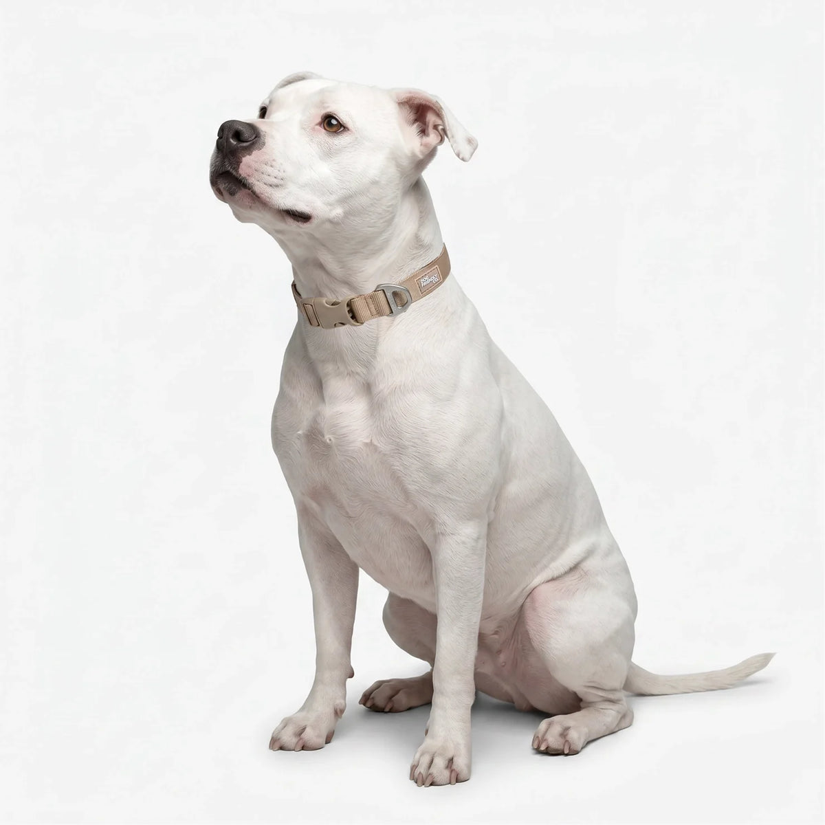 Essentials Collar - Brown