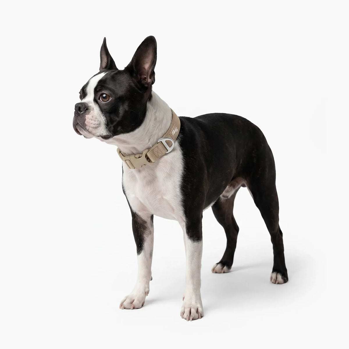 Essentials Collar - Brown