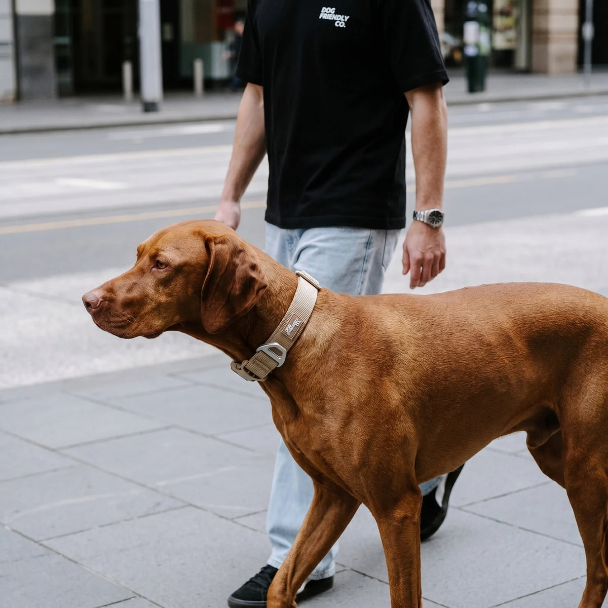 Essentials Collar - Brown