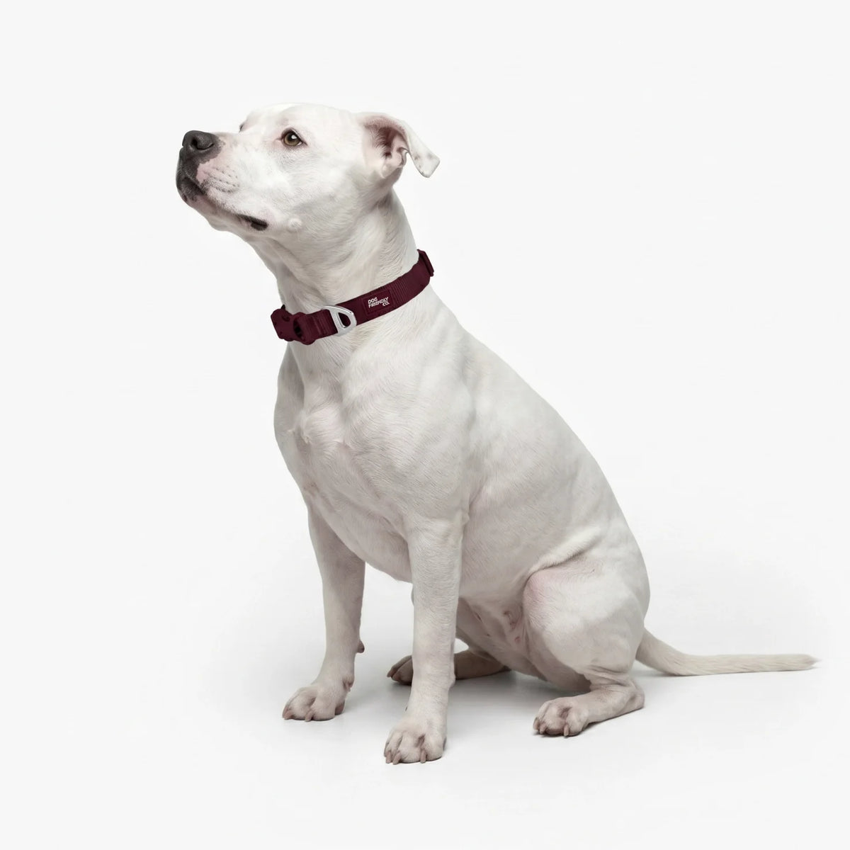 Essentials Collar - Burgundy