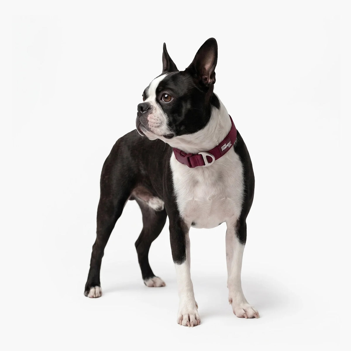 Essentials Collar - Burgundy