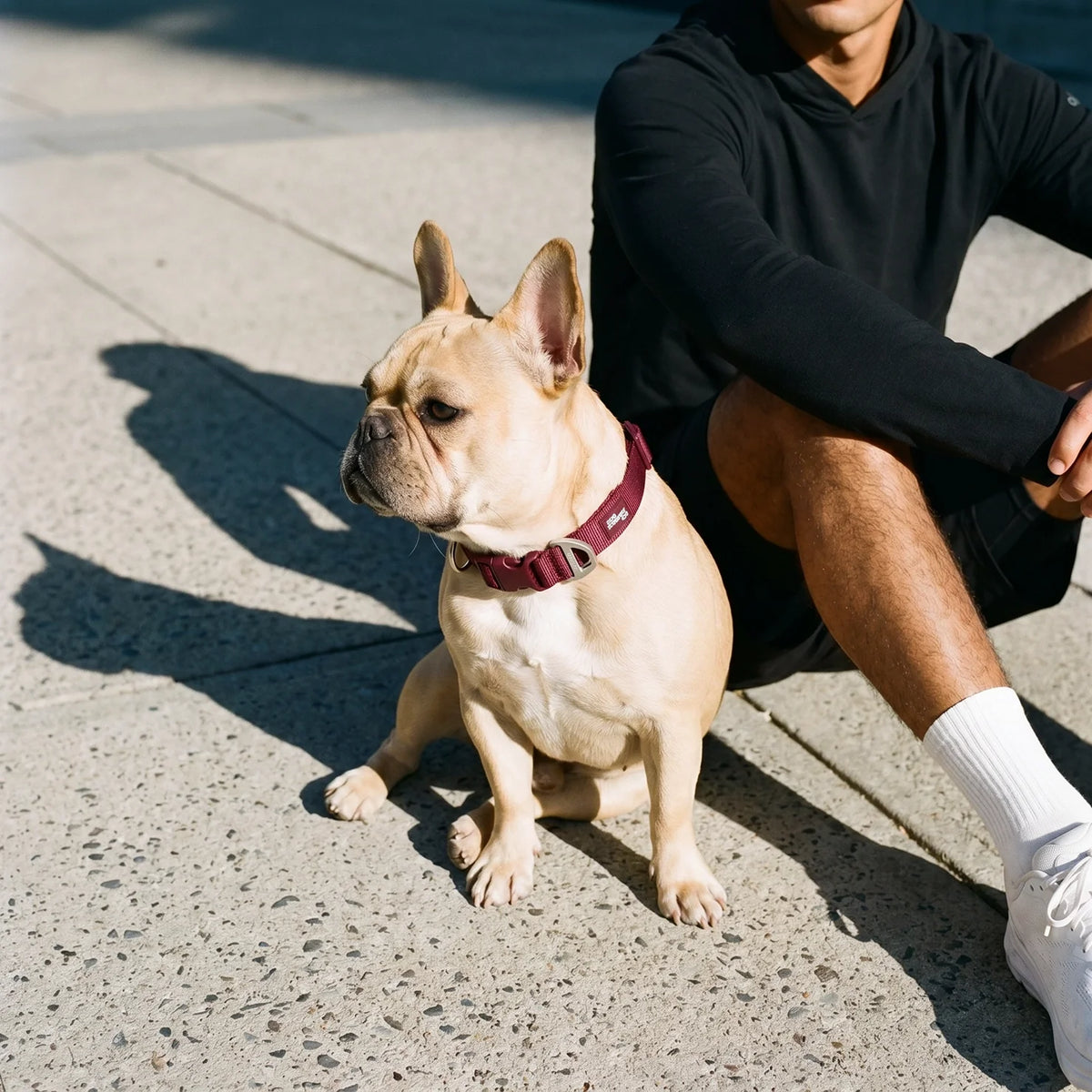 Essentials Collar - Burgundy