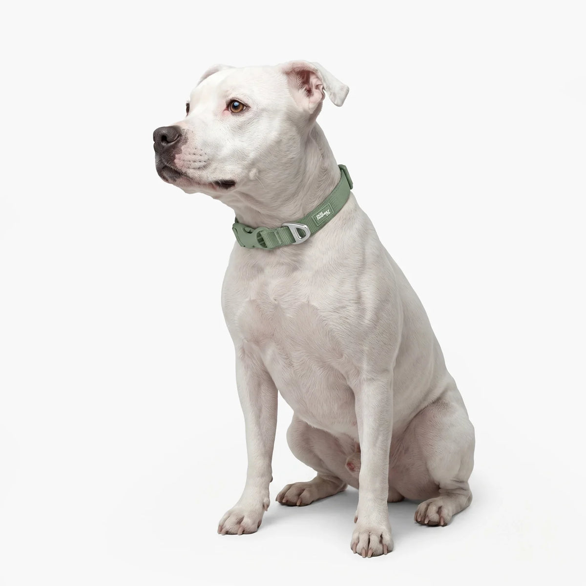 Essentials Collar - Khaki